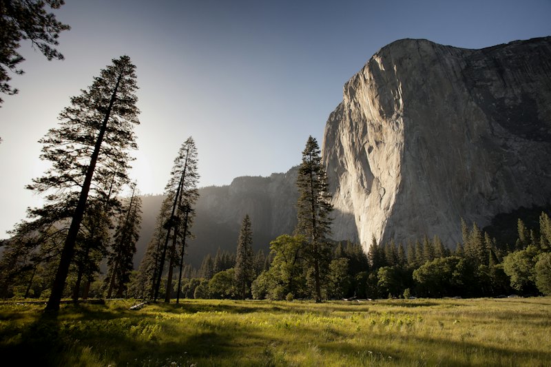 A sunlit granite cliff above a meadow and pine trees